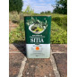 SITIA 0.3 Huile d'olive vierge extra de Crète AOP -  Bidon1L